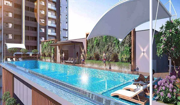 Rooftop infinity pool with sun loungers and a shade canopy